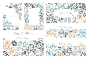 Vintage Almond Nut Vectors & Designs