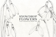 Snowdrop Flowers & Card Templates, an Illustration by Pigment Café (Thumbnail 6 of 8)