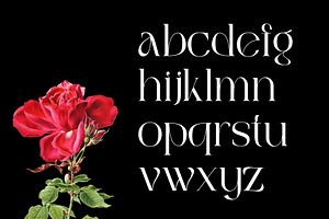 Bagek - Modern Display Serif