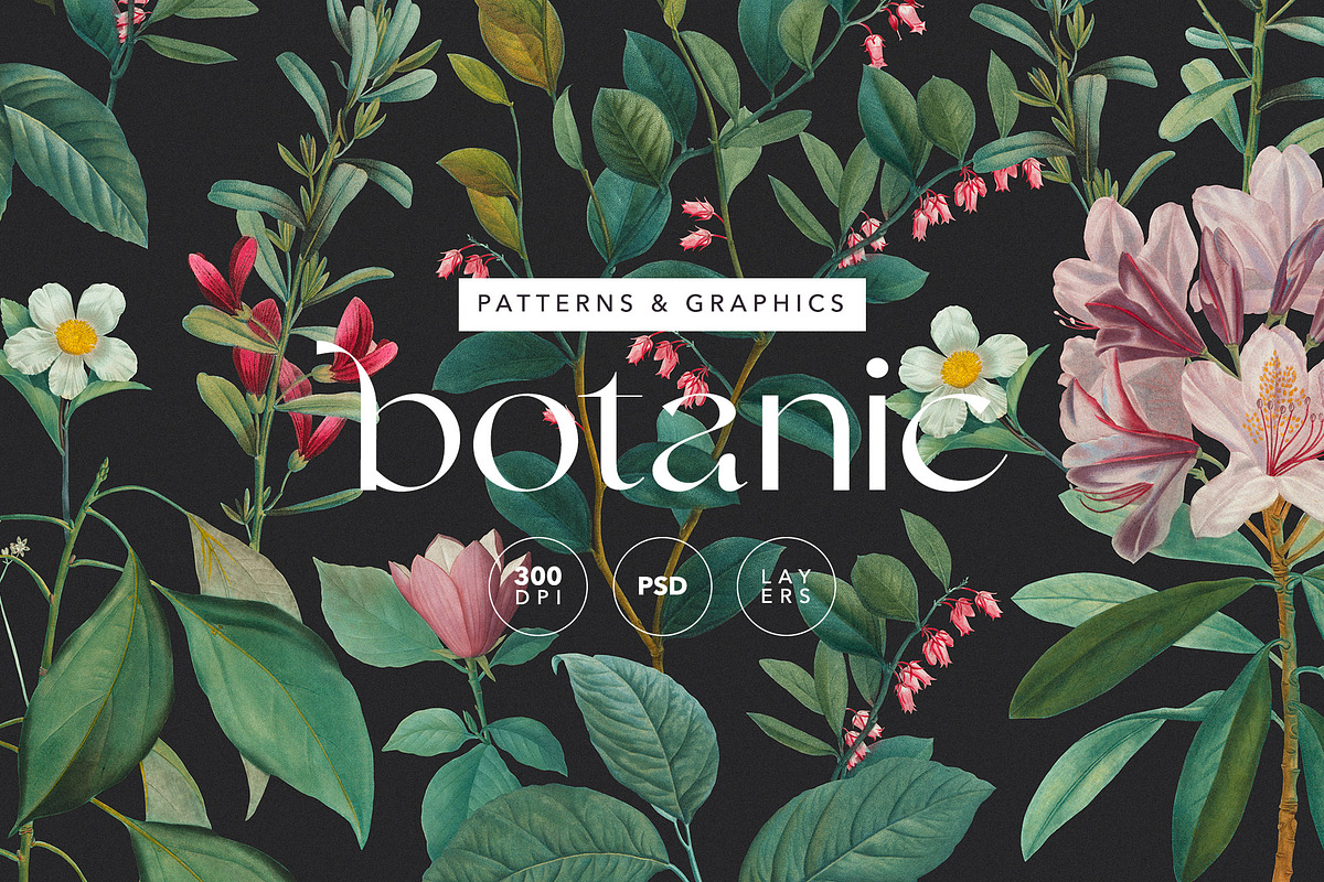 Botanical Elegant English Pattern, an Illustration by likorbut (Photo 1 of 9)