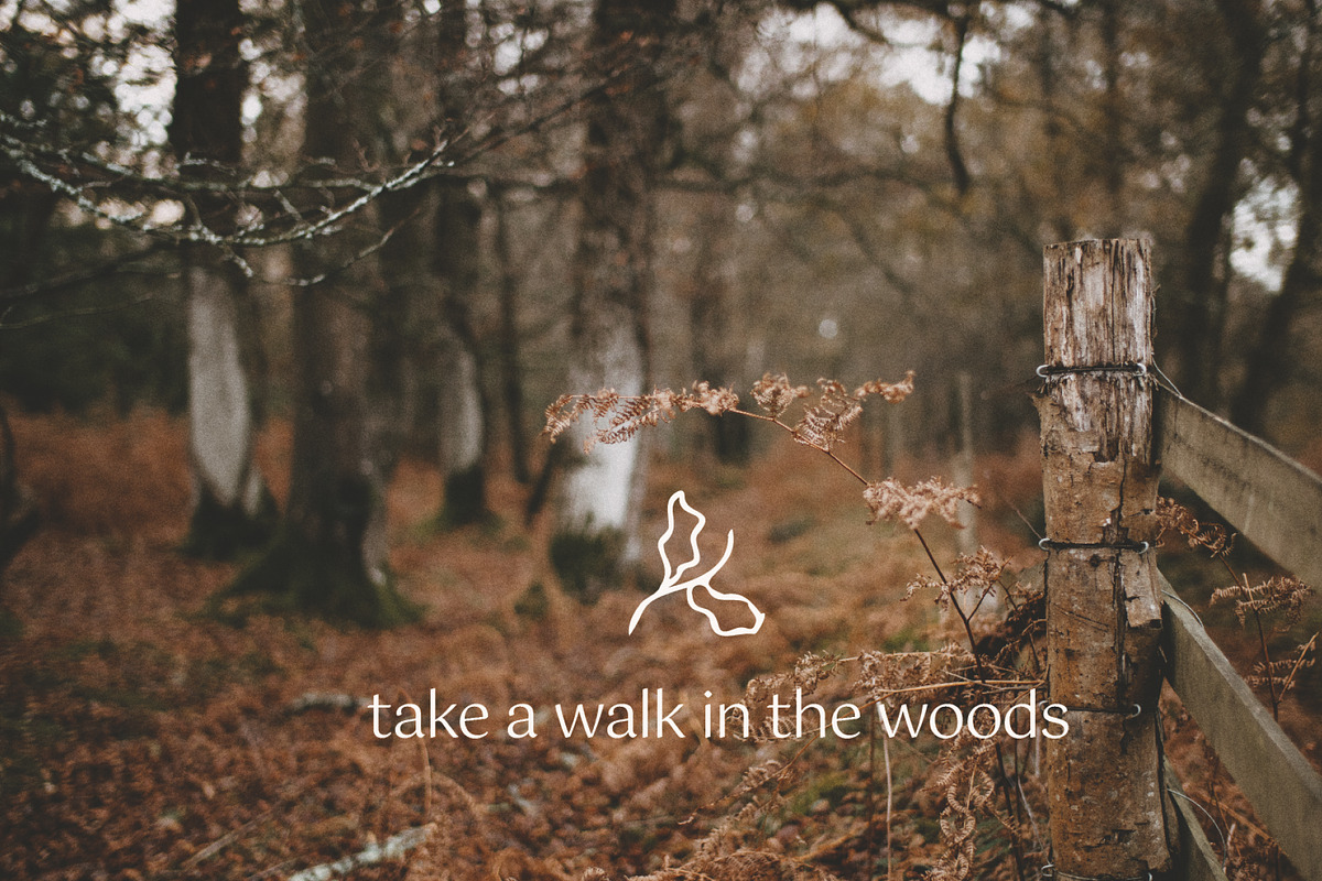Nature Woodland Eco Social Templates, a Social Media Template by CreativeWilderness (Photo 11 of 12)