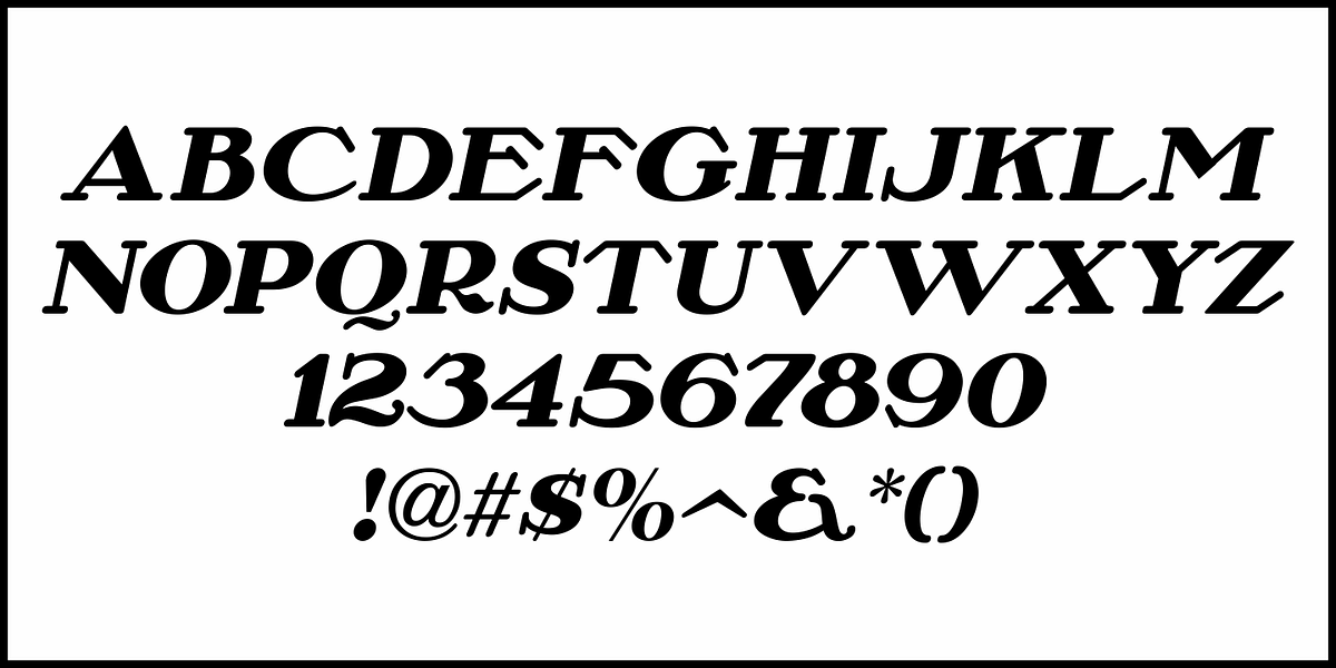 French Film JNL, a Serif Font by Jeff Levine Fonts (Photo 5 of 5)