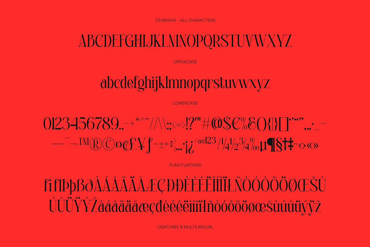 CS March – Modern Display Font, a Serif Font by Craft Supply Co. (Photo 8 of 8)