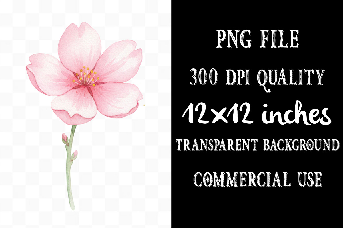 Watercolor Sakura Blossoms Clipart, an Illustration by Designking (Photo 4 of 5)