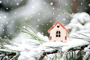 Christmas toy house, a Nature Photo by WildStrawberry Magic (Thumbnail 1 of 2)