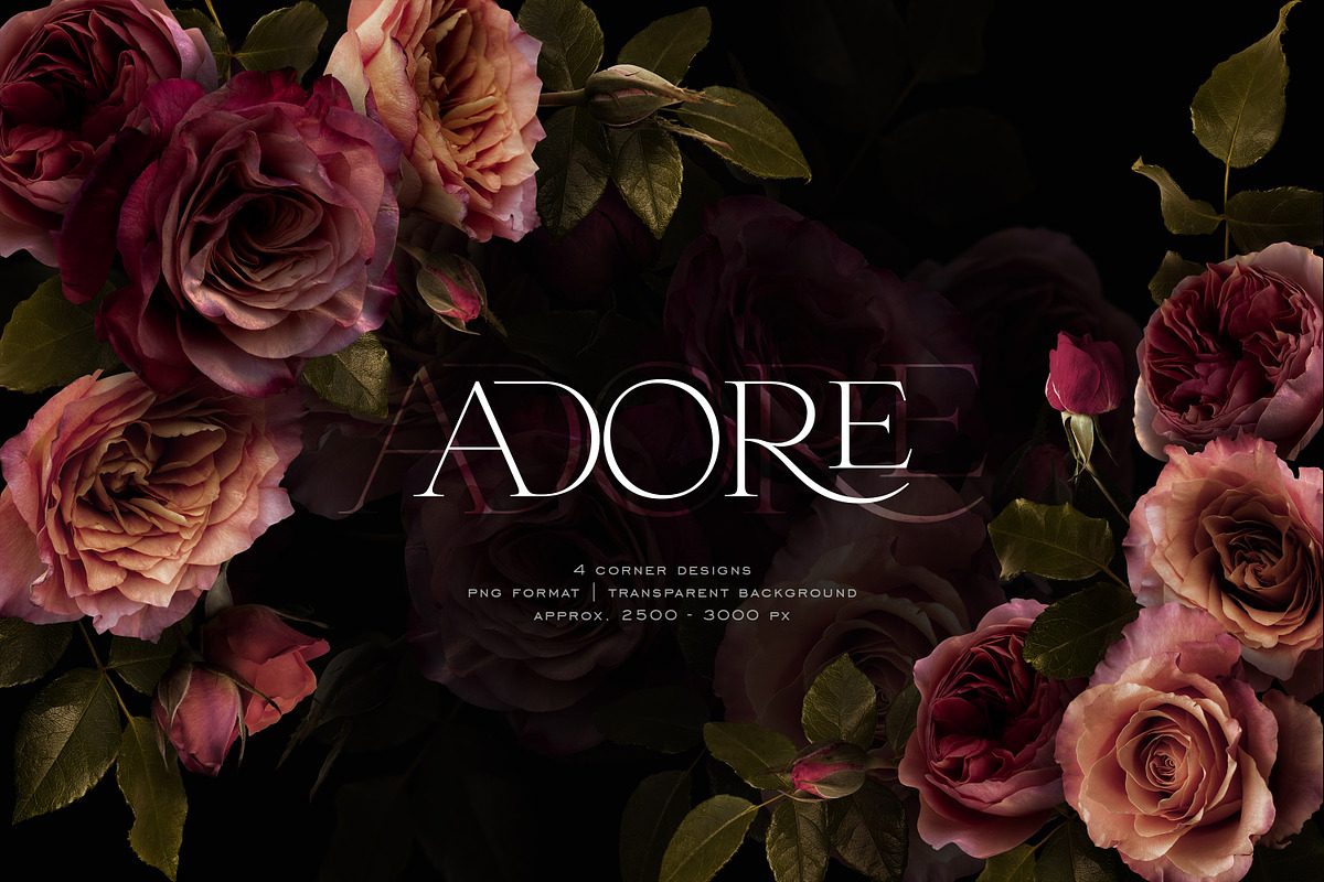 Adore Realistic Romantic Roses, an Object Graphic by Eclectic Anthology (Photo 3 of 11)