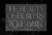 Helrina Amuzar | 10 Font Style, a Serif Font by IM Studio (Thumbnail 7 of 13)