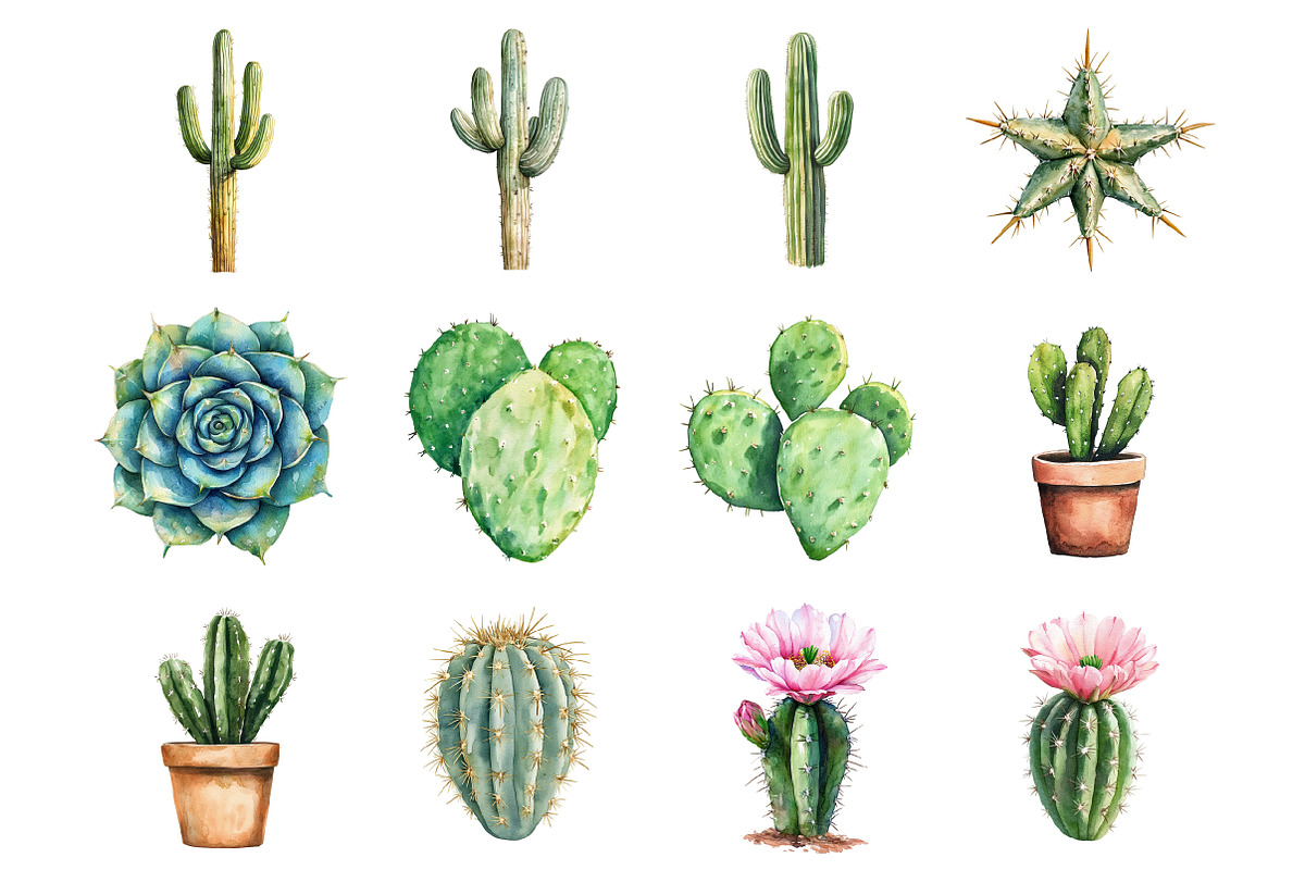 Watercolor Cactus Clipart, an Illustration by Design Market (Photo 3 of 3)