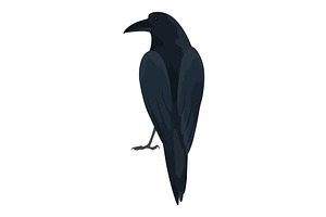 City bird, icon. European colorful, an Animal Illustration by the8monkey