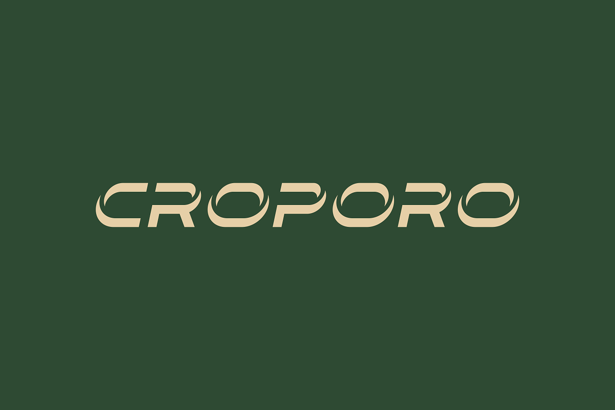 Crordo - Modern Display Typeface, a Font by Letterna (Photo 4 of 4)