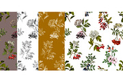 Medicinal plants collection, a Healthcare Illustration by handsketched (Thumbnail 8 of 9)