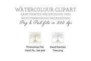 Family tree clipart, trees clipart,, an Illustration by CommercialCliparts (Thumbnail 3 of 3)