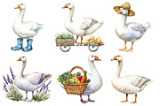 White Goose Garden Clipart, an Illustration by Pixels.Craft (Thumbnail 2 of 7)