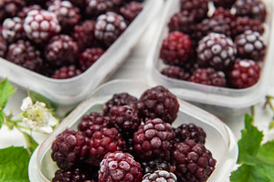 Frozen blackberries in containers on white wooden table, a Food & Drink Photo by Olena Rudo