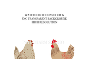 40 Chicken Clipart, an Animal Illustration by Pati Charm Studio (Thumbnail 6 of 9)