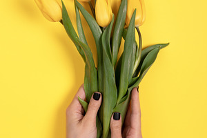 Close-up of hands holding a bouquet of yellow tulips on a vibran, a Holiday Photo by Ales Munt