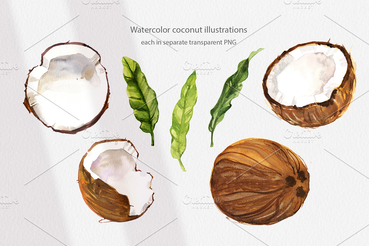 Cosmetic Ingredients Watercolor set, a Healthcare Illustration by Volha Studio (Photo 8 of 19)