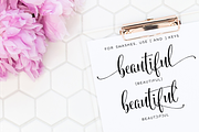 Sifted Wedding Font, a Script Font by INKMETHIS (Thumbnail 4 of 7)