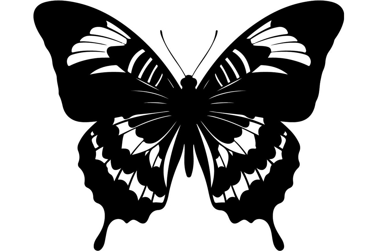 Elegant Butterfly Silhouette, an Object Graphic by Designer_Momina (Photo 5 of 18)