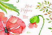 Red Poppies. Floral collection, an Illustration by OctopusArtis (Thumbnail 3 of 3)