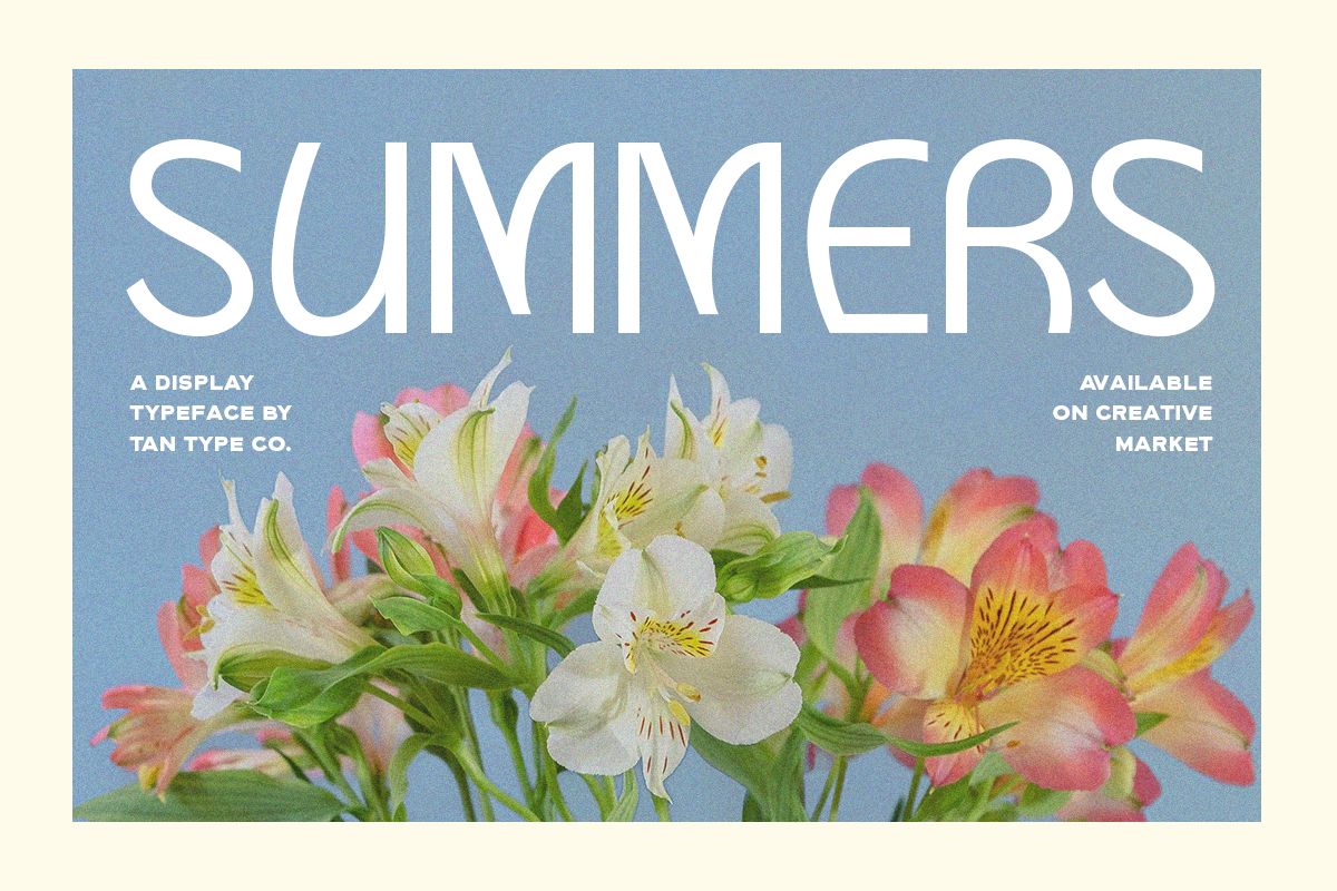 TAN - SUMMERS, a Sans Serif Font by TanType (Photo 5 of 10)
