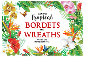 Tropical Frames and Borders