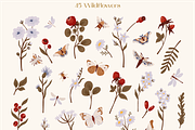 Butterflies & Bugs, an Animal Illustration by dariikos (Thumbnail 3 of 4)