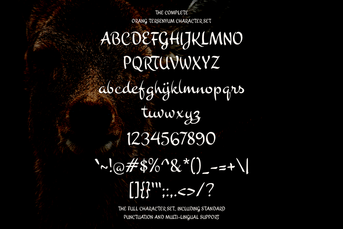 Orang Tersenyum Script Playful Font, a Handwritten Font by mesuka (Photo 5 of 5)