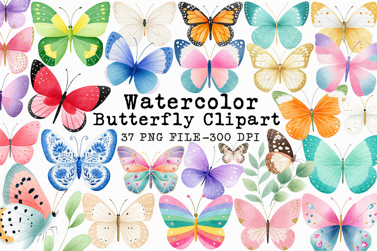 Watercolor Butterfly Clipart, an Illustration by Libby Wishes (Photo 1 of 6)