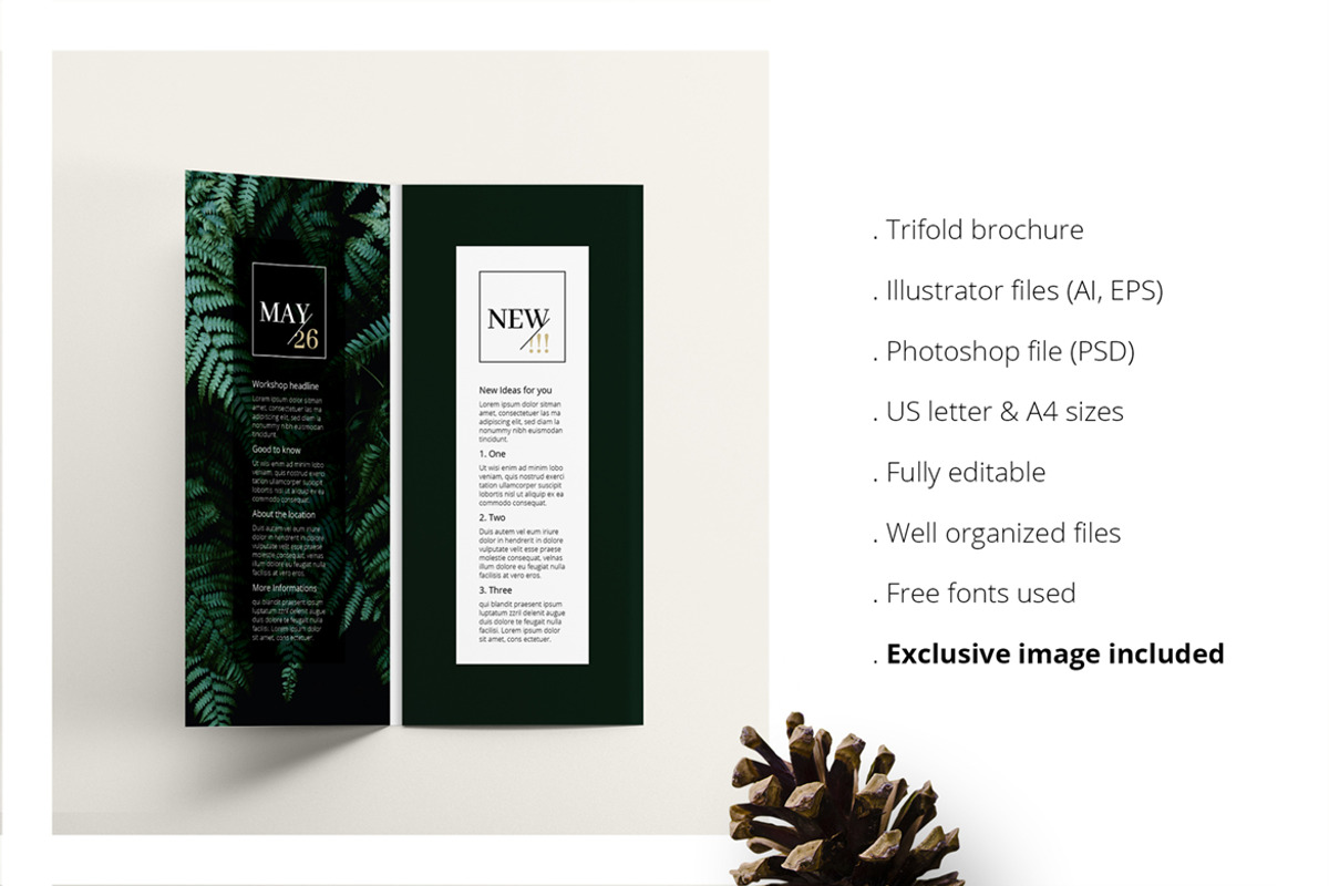 FERNS Trifold Event Flyer Design, a Brochure Template by AgataCreate (Photo 2 of 8)