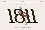 CS Gilvar – Classic Serif Font, a Serif Font by Craft Supply Co. (Thumbnail 5 of 8)