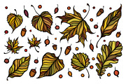 Decorative leaves collection, a Decorative Illustration by IreneArt illustrations (Thumbnail 2 of 7)