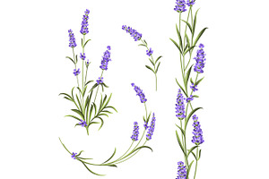 Set of lavender.