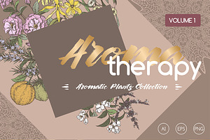 Aromatic plants color set Vol. 1
