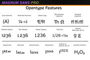 Magnum Sans Pro, a Sans Serif Font by FontMesa (Thumbnail 5 of 5)