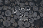 Minimalist Font Bundle • 80% OFF, a Serif Font by vuuuds (Thumbnail 32 of 47)