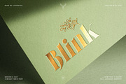 LaRuja - Modern Serif Typeface, a Serif Font by SilverStag Type Foundry (Thumbnail 16 of 20)
