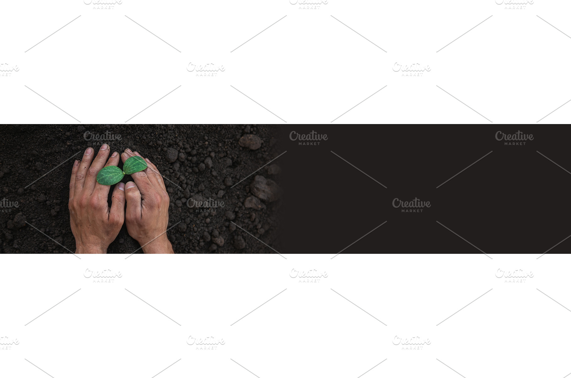 Soil and plant in the hands of a man, a Nature Photo by yanadjana