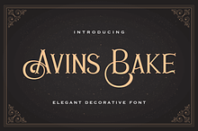 Avins Bake - Decorative Serif Font
