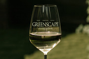 Greenscape 01 : Vineyard Wine Glass, a Cups & Container Mockup by Made by Attic (Thumbnail 2 of 2)