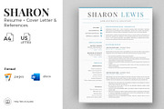 Professional Resume Format Example, a Resume Template by HIRED Design Studio (Thumbnail 1 of 18)