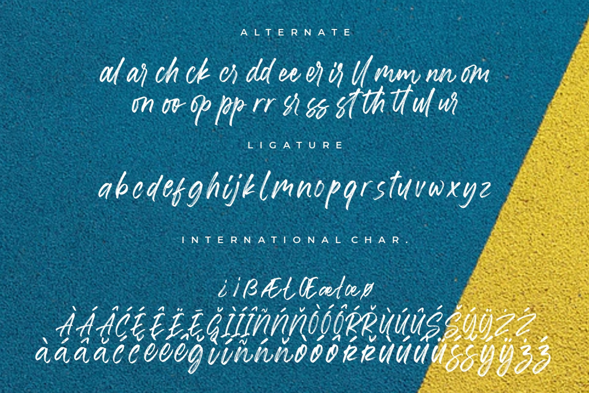 Misrelly Signature Brush, a Script Font by Creatype Studio (Photo 9 of 9)