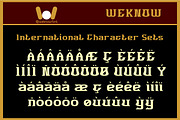 Bourgeois font, a Slab Serif Font by weknow (Thumbnail 8 of 8)
