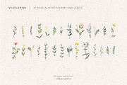 Watercolor Wildflower Bundle, an Illustration by Studio Edyth (Thumbnail 2 of 5)