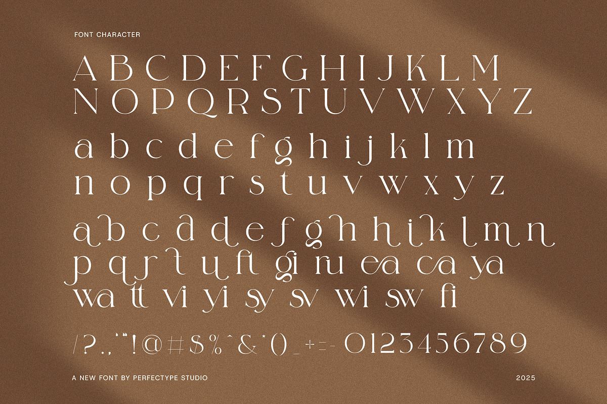 Malfina Elegant Serif Font, a Serif Font by Perfectype (Photo 8 of 8)