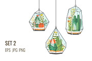 Plants and cacti in terrariums, a Decorative Illustration by Primula`s shop (Thumbnail 4 of 4)