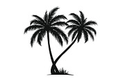 Palm Silhouette Clipart Set, an Illustration by hafijul (Thumbnail 12 of 21)