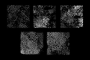 Classic Grunge Texture Pack 001, a Texture Graphic by bsteczdesigns_ (Thumbnail 2 of 2)