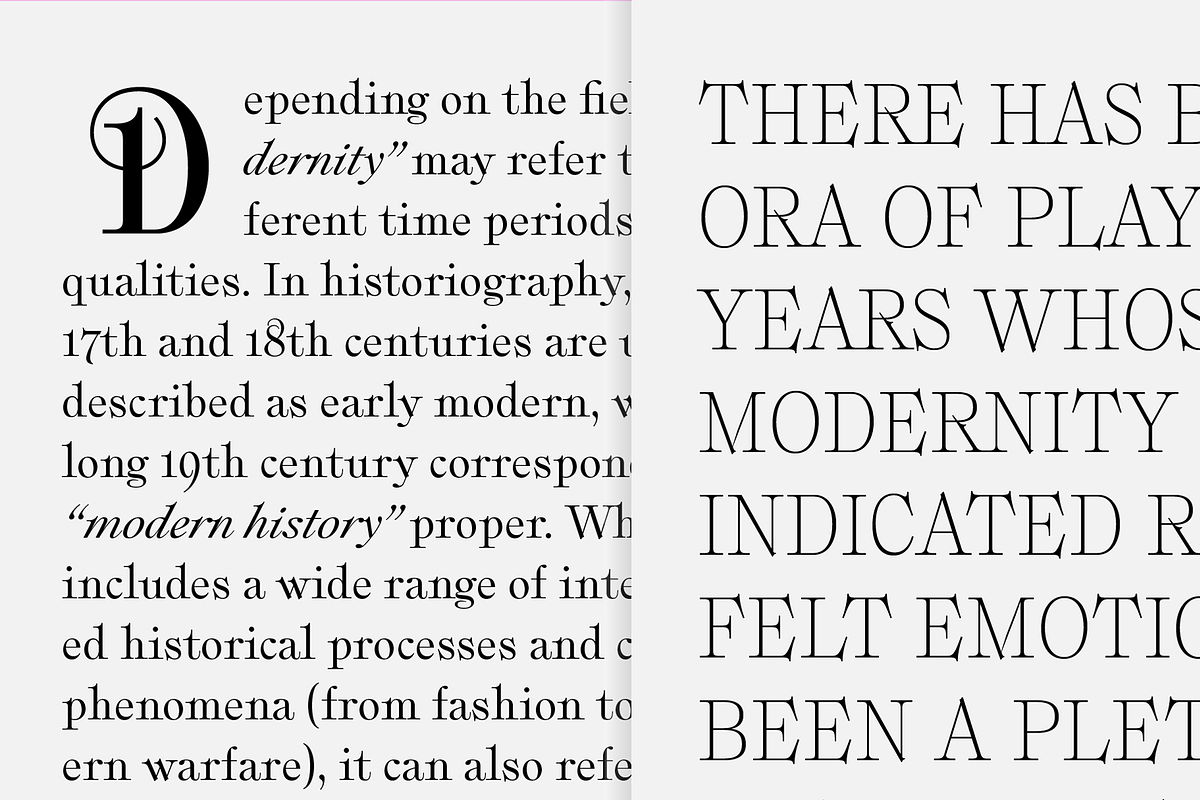 Plethora, a Serif Font by Sudtipos (Photo 6 of 12)
