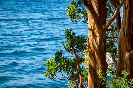 Nahuel huapi lake, bariloche rio negro, argentina, a Nature Photo by DanFLCreativo